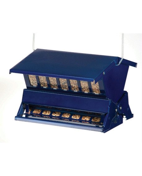 electric blue squirrel proof bird feeder