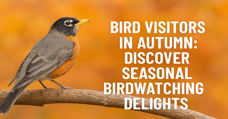 discover seasonal birds in autumn