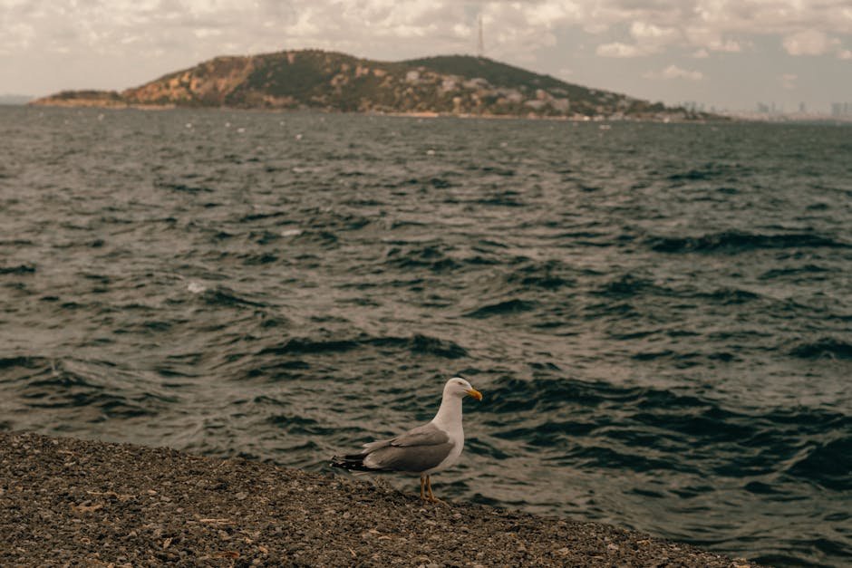 Garden birds feeding during spring snow shower
