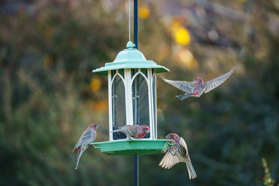 Successful bird feeding station with diverse bird visitors